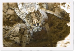 IMG08507 * 2268 x 1512 * (614KB)