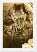 IMG08511 * 1512 x 2268 * (662KB)