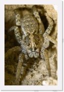 IMG08530 * 1512 x 2268 * (625KB)