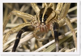 IMG08609 * 2268 x 1512 * (523KB)