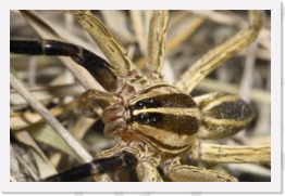 IMG08611 * 2268 x 1512 * (497KB)