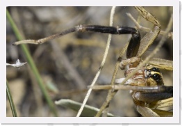 IMG08620 * 2268 x 1512 * (478KB)