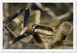 IMG08624 * 2268 x 1512 * (491KB)